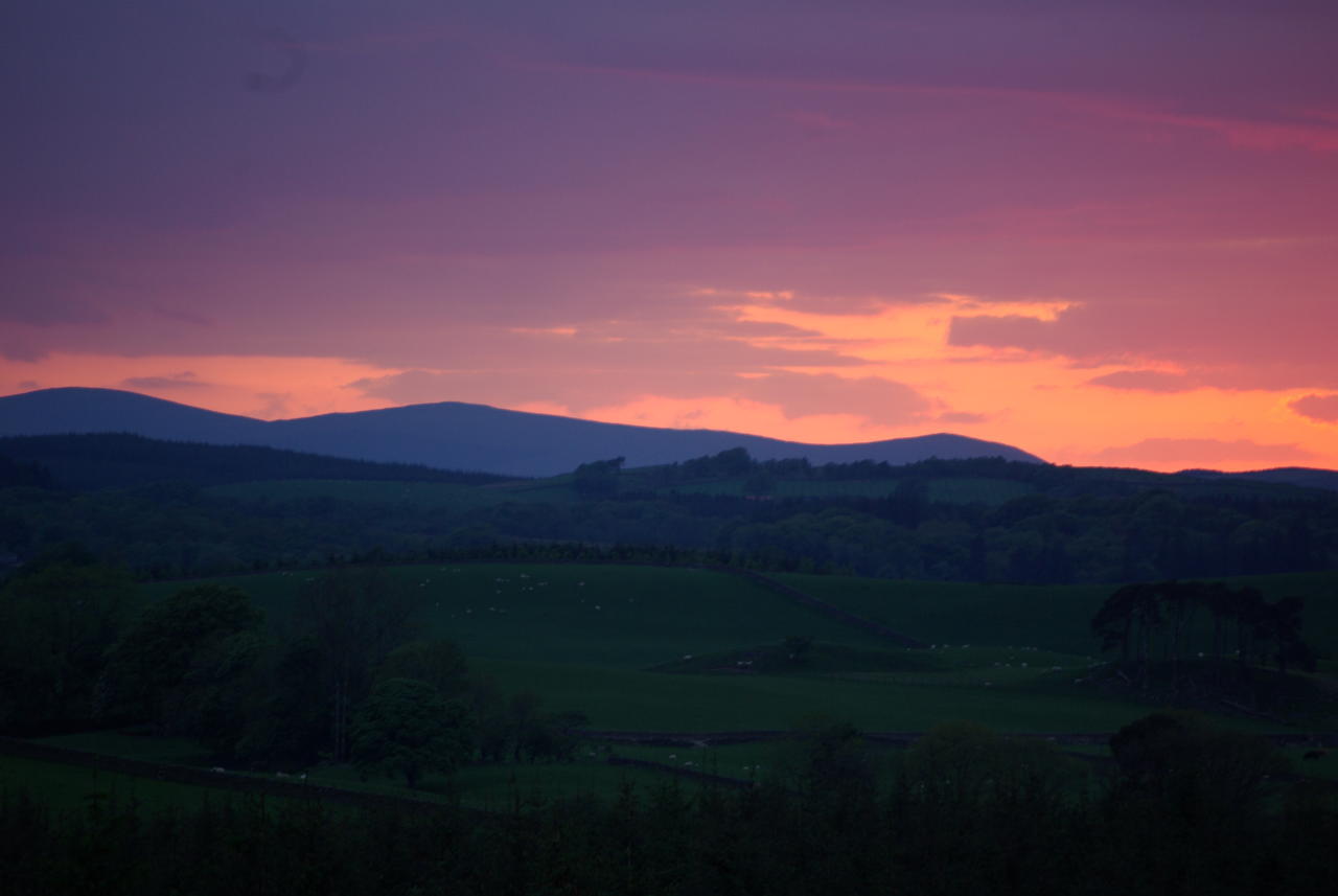 Craigadam Country House Hotel Kirkpatrick Durham Ruang foto